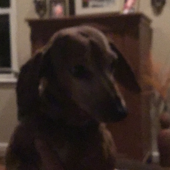 Meet your Posher, Mike - Picture 1 of 1